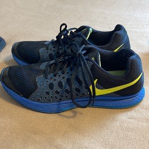 Nike zoom Pegasus 31